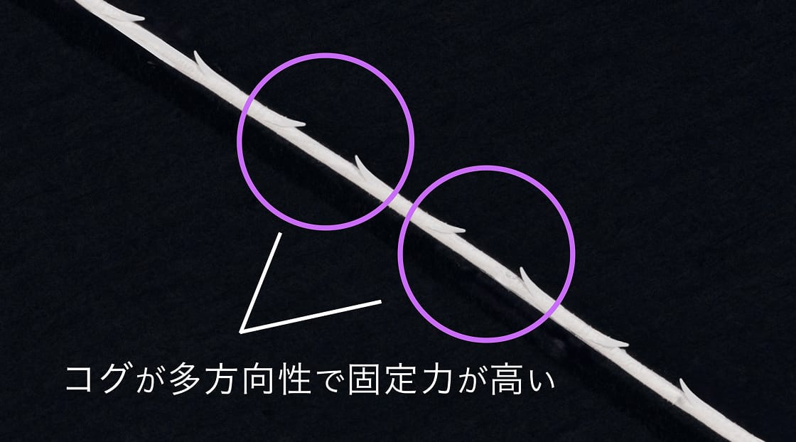 コグの構造イメージ